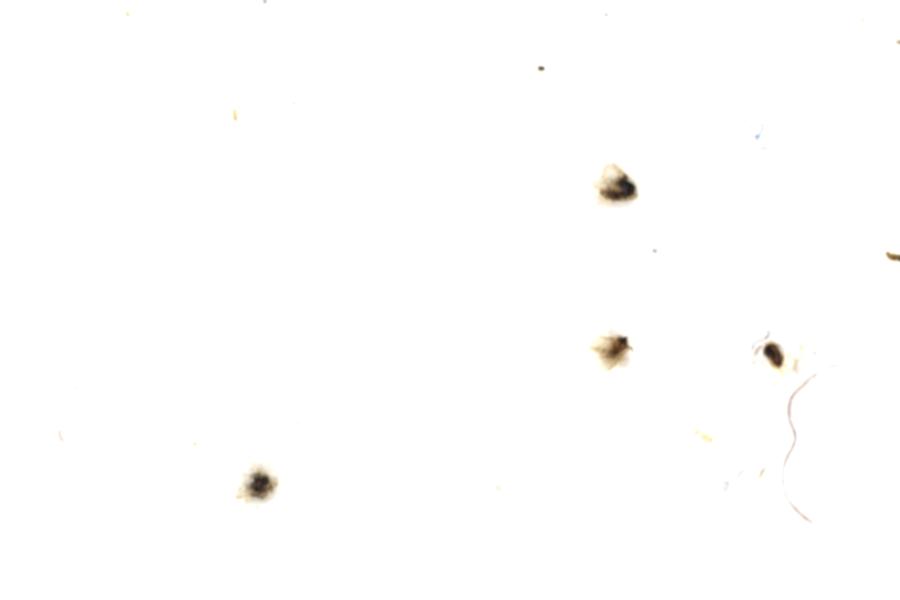 Image 62